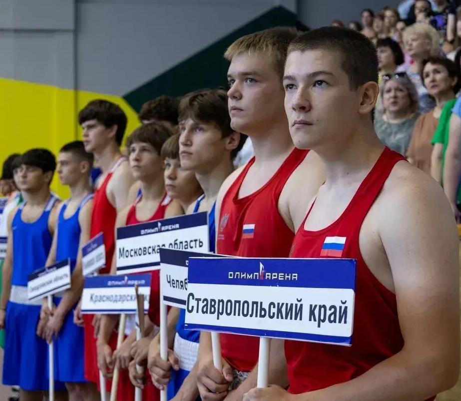 Всероссийские соревнования по боксу «Памяти Заслуженного тренера СССР А.А. Дементьева и Заслуженного мастера спорта СССР по боксу Ю.В. Александрова» 