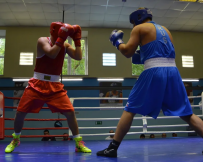 Всероссийское соревнование по боксу памяти ЗМС СССР, Чемпиона мира А. Кошкина среди юношей 2007-2008 г.р.